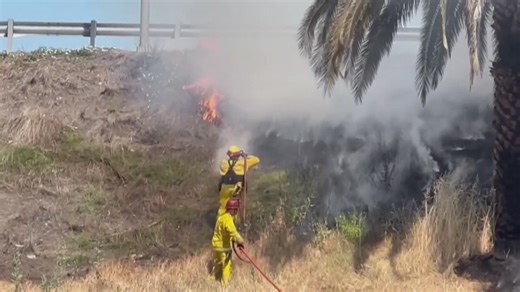 Overgrown weed enforcement starts April 15