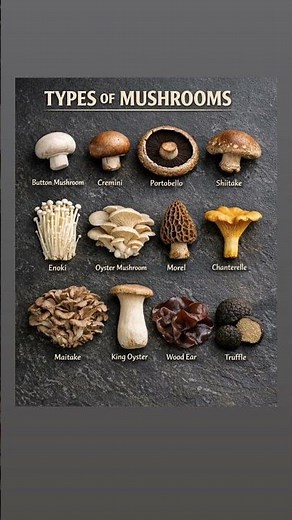 12 Mushrooms You Should Know. #mushroom #foodfacts #healthtips #healthhacks #superfoods