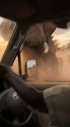 Angry Elephant Attacks Safari Jeep! Terrifying Jungle Moment 🐘🚙 #elephantattack
