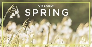 170K views · 1.3K reactions | Your choice! Think the groundhog will appear? Use code: SPRING and enjoy two free 8x10 prints. Think he won’t? Use code: WINTER and enjoy two free 16x20 prints. Ends Friday, Feb 3. #HappyGroundhogDay | Shutterfly | Facebook