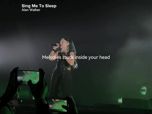 Alan Walker: Lyrics to Sing With Me Duet