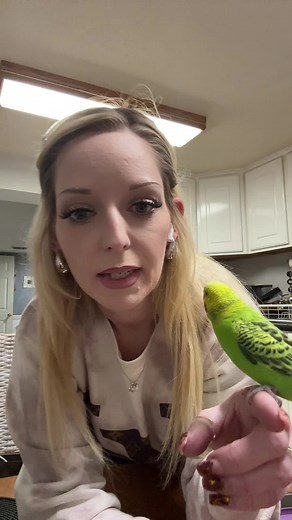 Discover the Joy of Owning a Smart and Social Parakeet | Animals as Anxiety Relievers