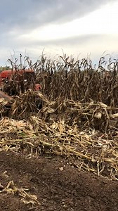 1.2M views · 8.7K reactions | Allis chalmers mounted picker setup, owned by Carl Benk. #vintagefarmer #fypシ #wisconsin #farming #allischalmers | ElixirEnclave | Facebook