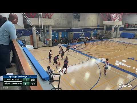 Spring Challenge Championship: Triple Threat 14U