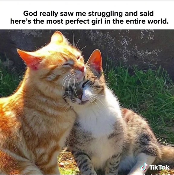 im thankful each and every day