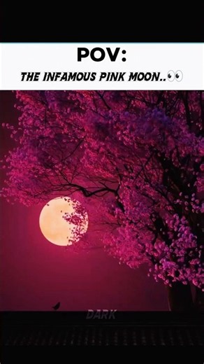 Pink Moon 2027 — Date, Time & Everything You Need to Know# #pinkmoon #moon #space #cosmology