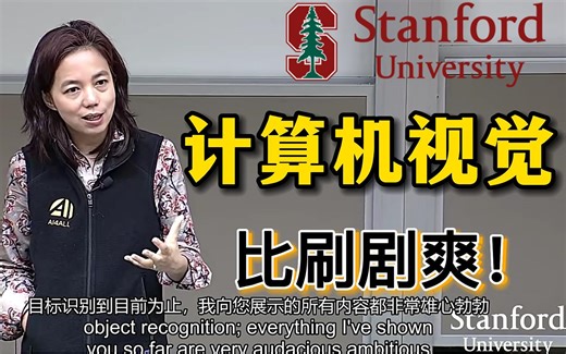 我TM吹爆！IT界大佬斯坦福教授李飞飞亲授【计算机视觉】课程堪称B站最强，中英双字幕助力学习！—人工智能/计算机视觉/深度学习/机器学习/神经网络/卷积神经网络