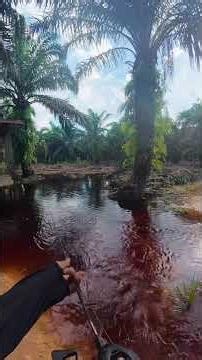 Rell bc seahunter starfall dc emang tiada duanya #mancingcasting #shorts