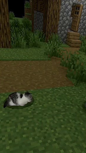 Cat got into Minecraft 🐱🤣🥰#minecraft #funnycats #fyp #cat #pets #Reel#Fly#Everyone | LaDorian Hill