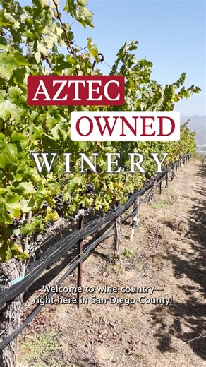 7.5K views · 204 reactions | What pairs well with Aztec pride? A...