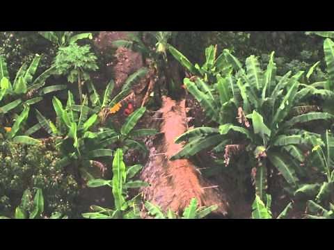 Indígenas no contactados, ahora en español