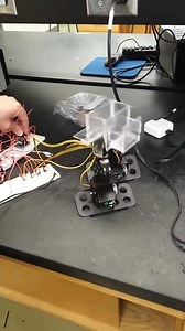 Bipedal Walkbot using Two MSP430s