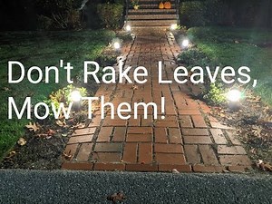 Leaf Cleanup with your Lawn Mower