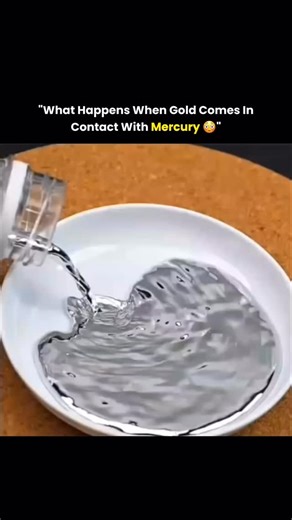 Innoverse on Instagram: "When gold touches mercury, it creates a special alloy called amalgam. This reaction has been used for centuries in mining and chemistry, showing how mercury can fully absorb gold. We do not own any of the content. All credit goes to the respective owners. No copyright infringement intended. #science #chemistry #gold #mercury #didyouknow #innovation #fyp #veer_editex"