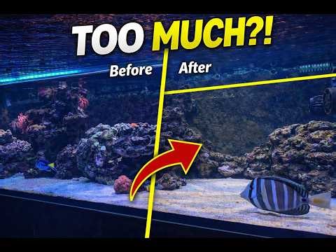 I Removed HALF My Reef Tank… (120 Gallon Update + New Tank!)