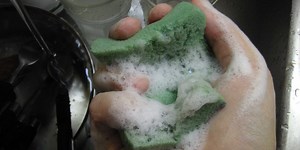 Your kitchen sponge is disgusting, and there's only one good way to clean it
