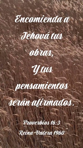 Proverbios cap.16, vers.3 - Gotitas de fe #diosesamor #amor #conociendomaslabiblia
