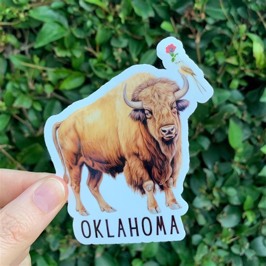 Oklahoma Sticker, State Sticker, Oklahoma Gift, Oklahoma Bison Sticker - Etsy