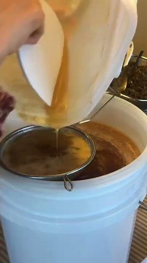 🎶蜜巣を潰して濾してキレイなハチミツ🍯✨日本ミツバチ全滅群からの採蜜