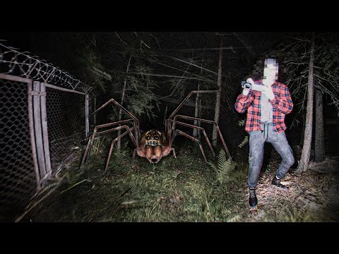 This Is Why I Hate This Type of Horror Game So Much...