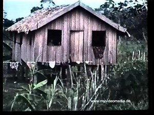 Amazonas, Manaus 1979 - Brazil Super8 Travel Channel