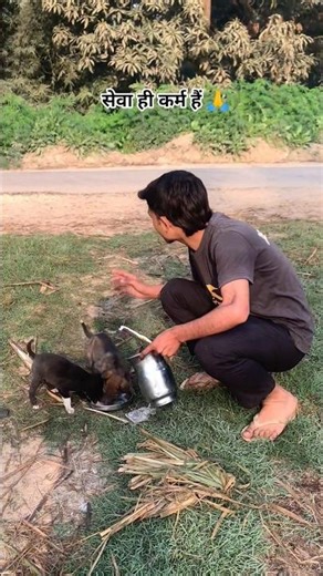 सेवा ही कर्म हैं 🙏🙏🙏🙏🌿🌿#shorts #dogs #seba #halping