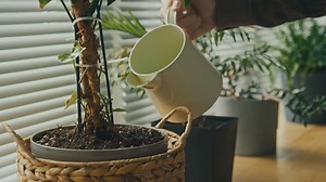 Tips for Preparing for an Open House