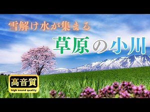 【高音質】雪解け水が集まる草原の小川 / 自然音・環境音・癒し・作業用BGM