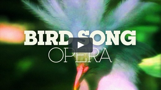 Bird Song Opera