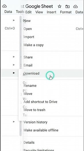 How to Convert Google Sheets to Excel | Download as Excel File