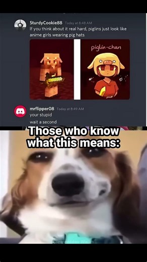 Anime Piglin 💀