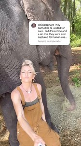 3.5K views · 89 reactions | Elephants have been working with mankind...