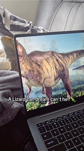 A boy can dream can't he? #beardeddragon #lizard #animalshorts #dinosaur #jurassicworld