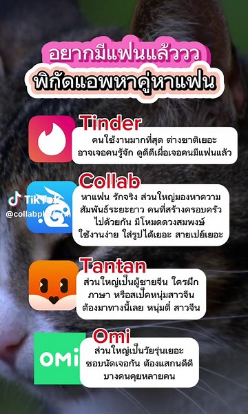 โสดอยากมีแฟน: คำแนะนำสำหรับคนโสด