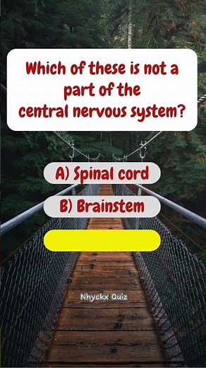 Human Body Quiz: Can You Pass This Anatomy Challenge?