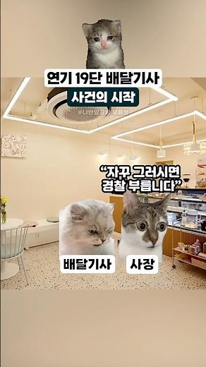 연기 19단 배달기사 #고양이밈