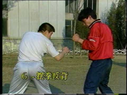 Self-defense based on hand-to-hand combat techniques of the Chinese police (Part 2)