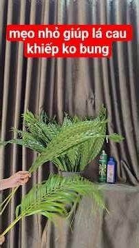mẹo để lá cau không bị bung khi đan #daycamhoa #hoatuoithanhmai #xuhuong