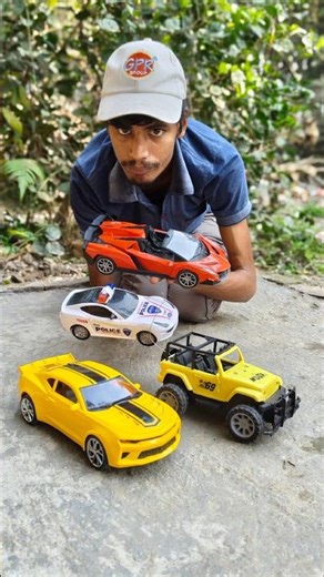 Remote Control Cars