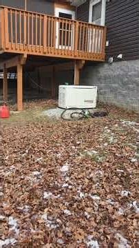 Generac 24kw. Always have a plan C. We all learn every day how to do it better.