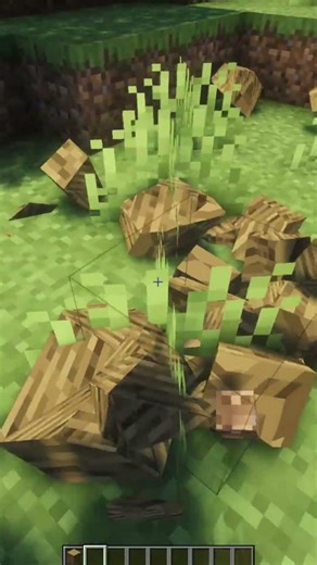Oak Log Physics in Minecraft