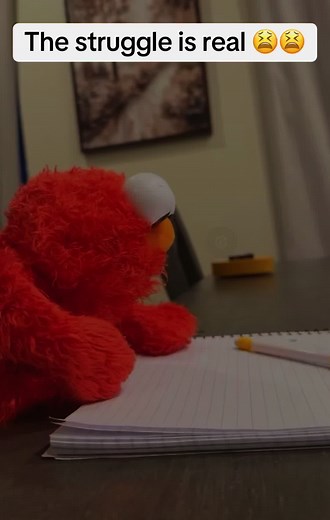 Is not in the budget. Elmo gotta work to keep them lights on 😫