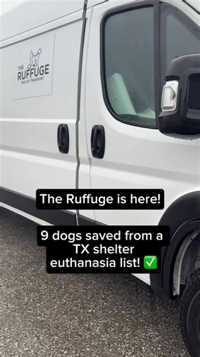 Bark About It Rescue on Instagram: "🚐✨ Another successful transport with The Ruffuge. 9 more lives saved ✨🚐 These pups were all pulled from euthanasia risk in Houston, TX and made their way to Pennsylvania for a second chance at life. What an incredible journey and an even better ending. Please help us welcome: Bo, Spade, Jazzy, Mocha, Winter, Sid, Scout, Hazel, and Peaches 🐾 This rescue takes a village, and we are beyond grateful. Thank you to our amazing foster families in both TX and PA, t