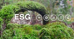 ESG concept icon for business and organization, Environment, Social, Governance and sustainability development concept. 4k video