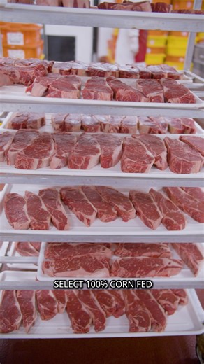 6.4K views · 155 reactions | We’re excited to share our new cryovac...