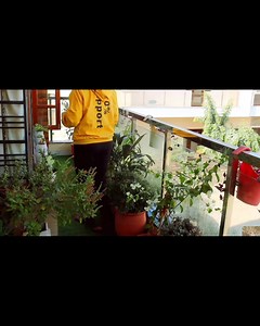 37K views · 1.1K reactions | Things which help you to build up your personality in 2025| Tips for sharpen your personality | Shape Up Your Life | Facebook