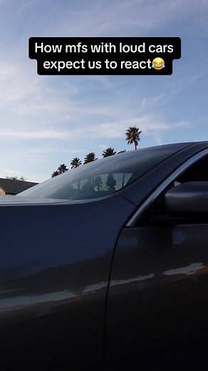 Loud Cars & Reactions: TikTok Trend