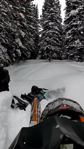 #dumbwaystodie #CapCut ##skidoosummit850 #sledtok #braaap #michigantreerider #fyp #cookecity