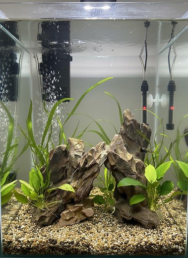 Dragon Stone Aquarium Hardscape | Natural Ohko Rock Decor | Cave Rocks for Fish Shrimp Tank - Etsy