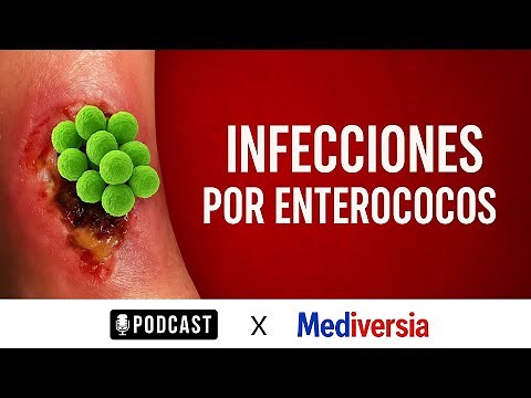 Enterococcal Infections 🧫 (E. faecalis, E. faecium, and more) - | Study while you walk
